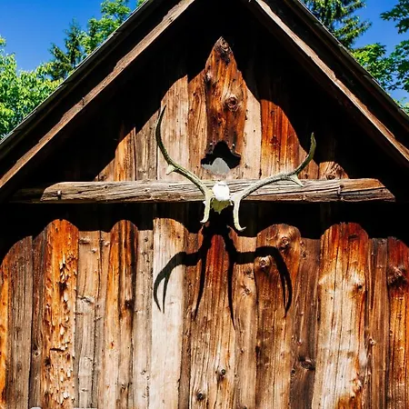 Waldhütte Kosak - Jetzt Neu Mit Bad&wc * Trofaiach