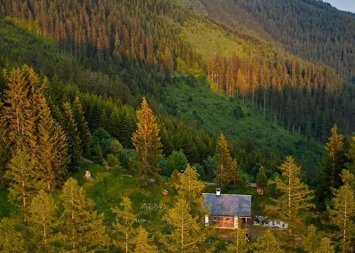 Ferienhaus Waldhütte Kosak - Jetzt Neu Mit Bad&wc Trofaiach